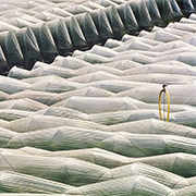Coverings