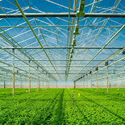 lrrigation & Hydro