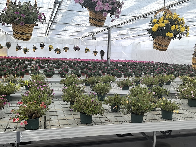 The function and function of seedbed facilities