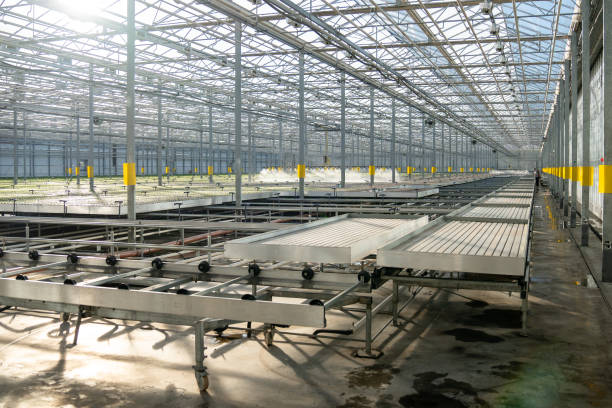 Greenhouse Rolling Workbench
