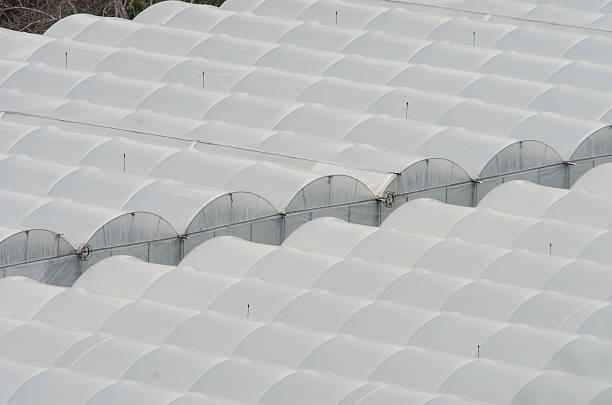 Woven plastic film