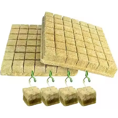 Seedling rock wool